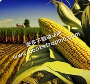K1体育，您的专属体育娱乐伙伴 - K1体育官网
